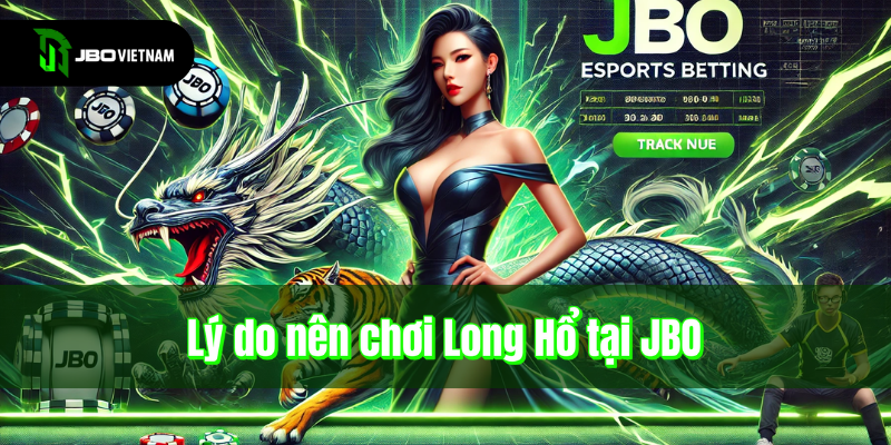 Lý do nên chơi Long Hổ tại JBO